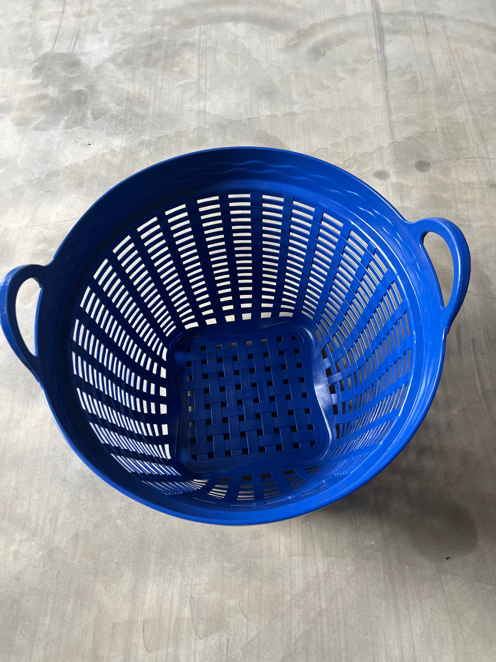 Sọt sầu riêng xanh dương 660x460